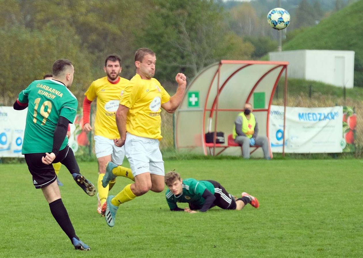  GKS Niemce vs Garbarnia Kurów (zdjęcie 1) - Autor: Maciej Kaczanowski