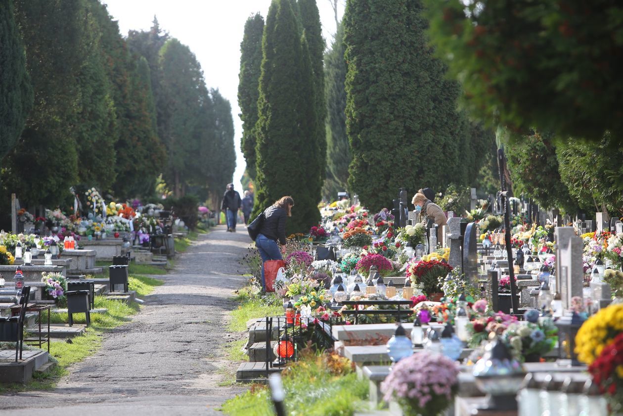  Ostatnie przygotowania do Dnia Wszystkich Świętych (zdjęcie 1) - Autor: Piotr Michalski