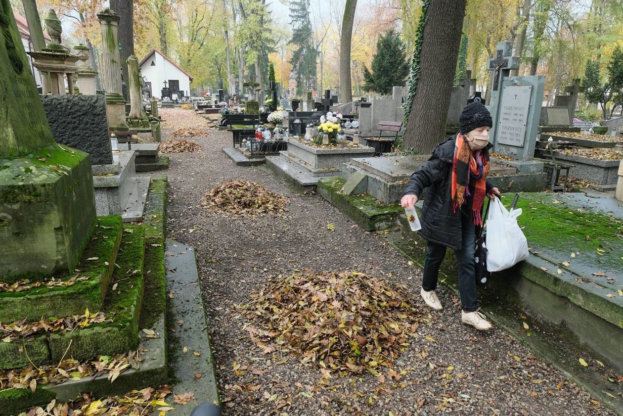  Lubelskie cmentarze przy ul. Lipowej i Drodze Męczenników Majdanka po otwarciu.  (zdjęcie 1) - Autor: Maciej Kaczanowski