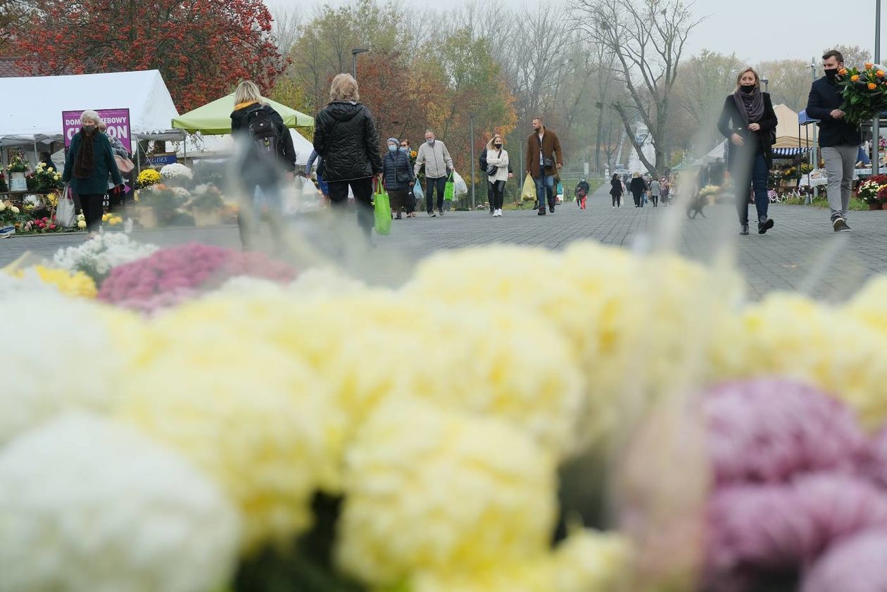  Lubelskie cmentarze przy ul. Lipowej i Drodze Męczenników Majdanka po otwarciu.  (zdjęcie 1) - Autor: Maciej Kaczanowski