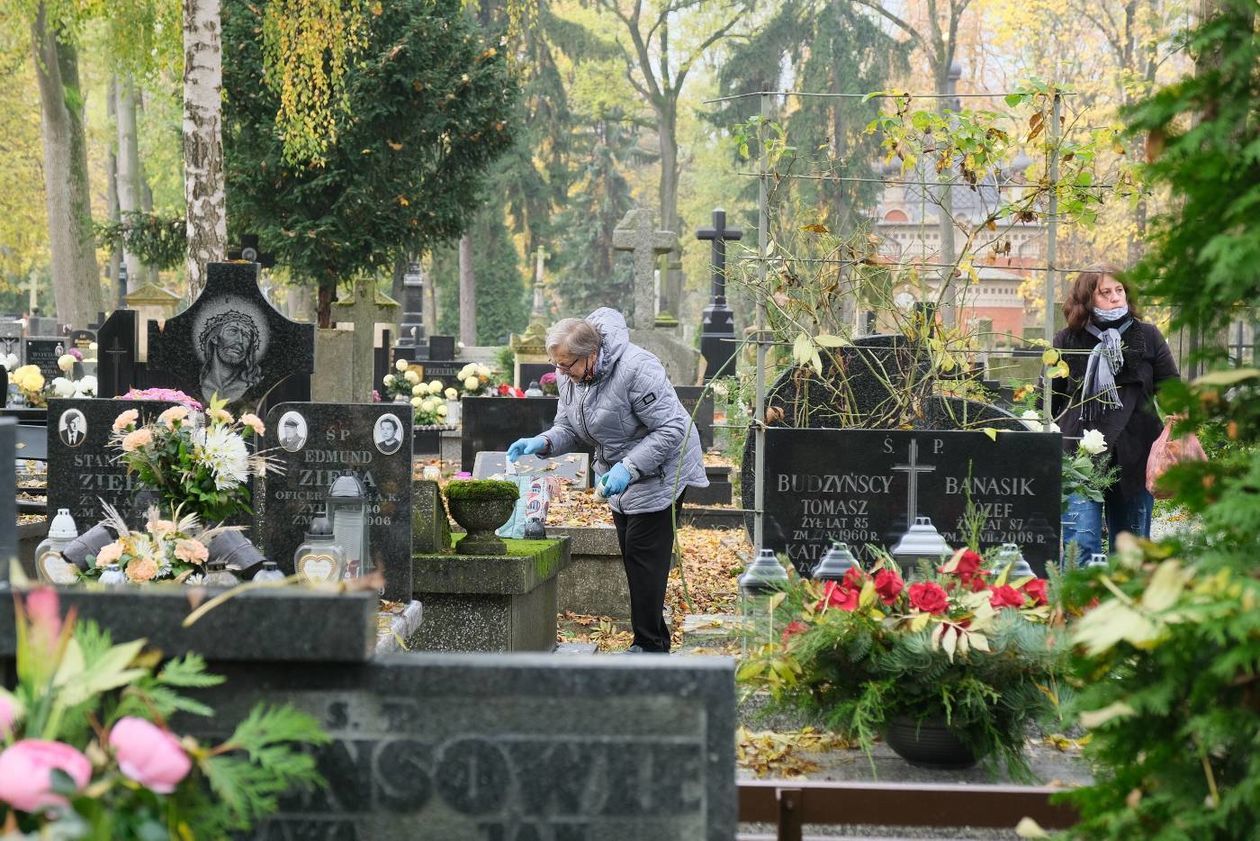  Lubelskie cmentarze przy ul. Lipowej i Drodze Męczenników Majdanka po otwarciu.  (zdjęcie 1) - Autor: Maciej Kaczanowski