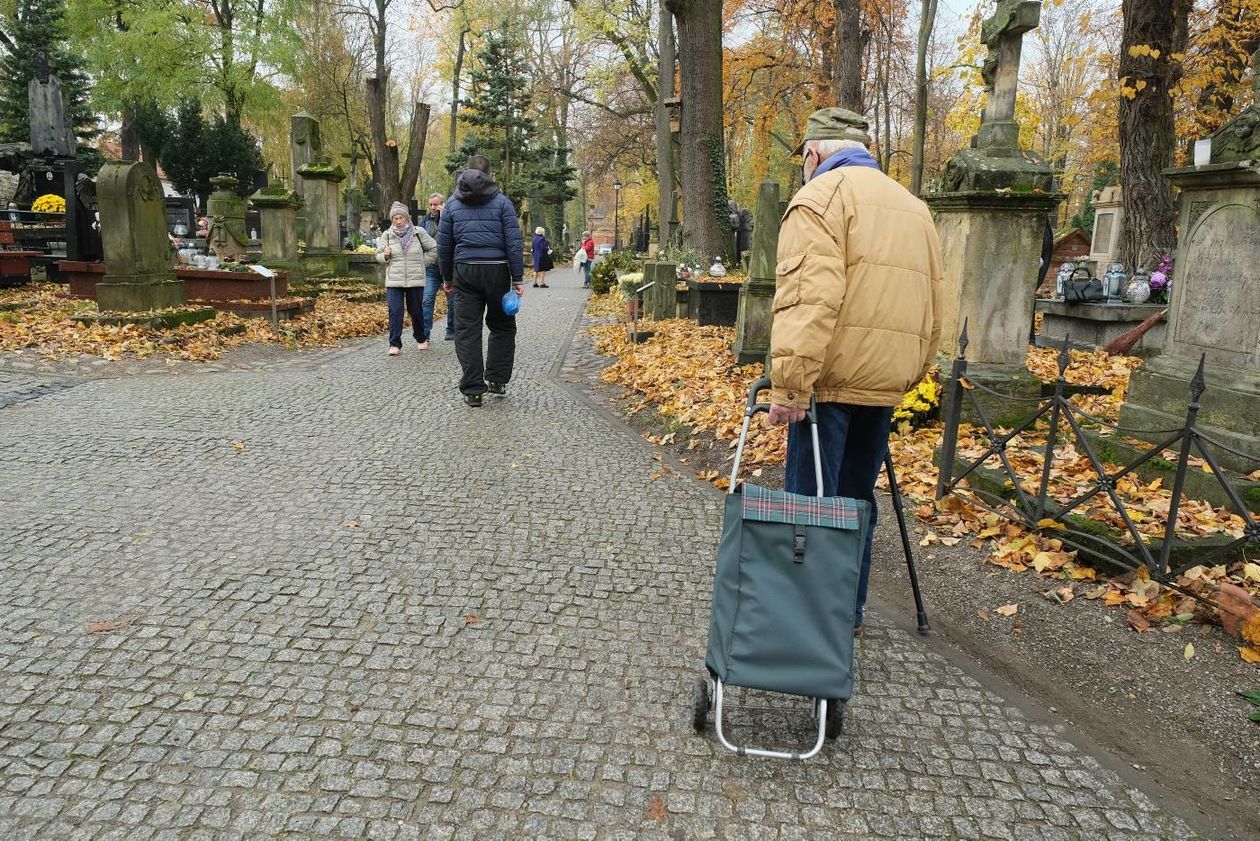  Lubelskie cmentarze przy ul. Lipowej i Drodze Męczenników Majdanka po otwarciu.  (zdjęcie 1) - Autor: Maciej Kaczanowski