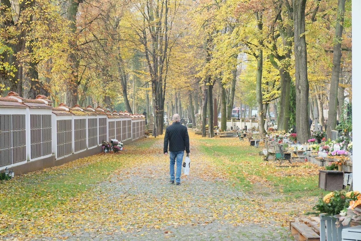  Lubelskie cmentarze przy ul. Lipowej i Drodze Męczenników Majdanka po otwarciu.  (zdjęcie 1) - Autor: Maciej Kaczanowski