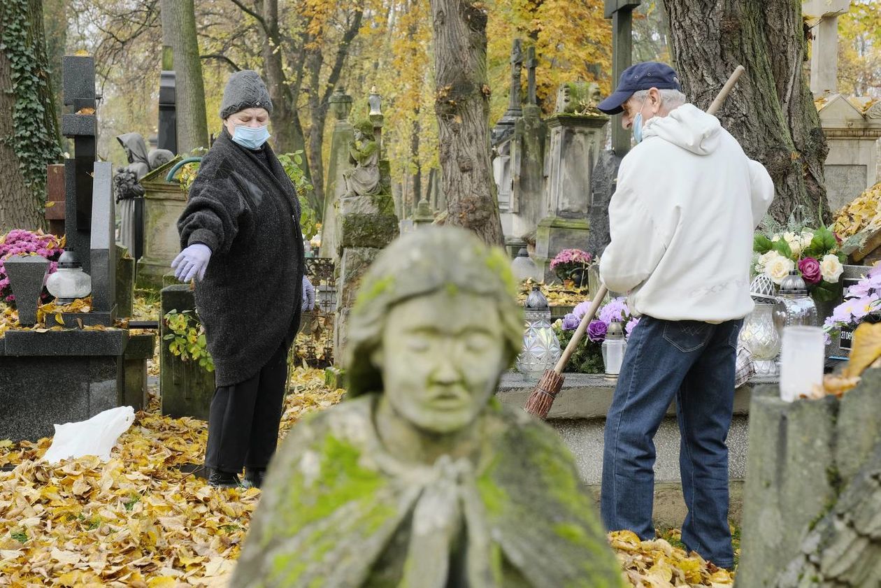  Lubelskie cmentarze przy ul. Lipowej i Drodze Męczenników Majdanka po otwarciu.  (zdjęcie 1) - Autor: Maciej Kaczanowski