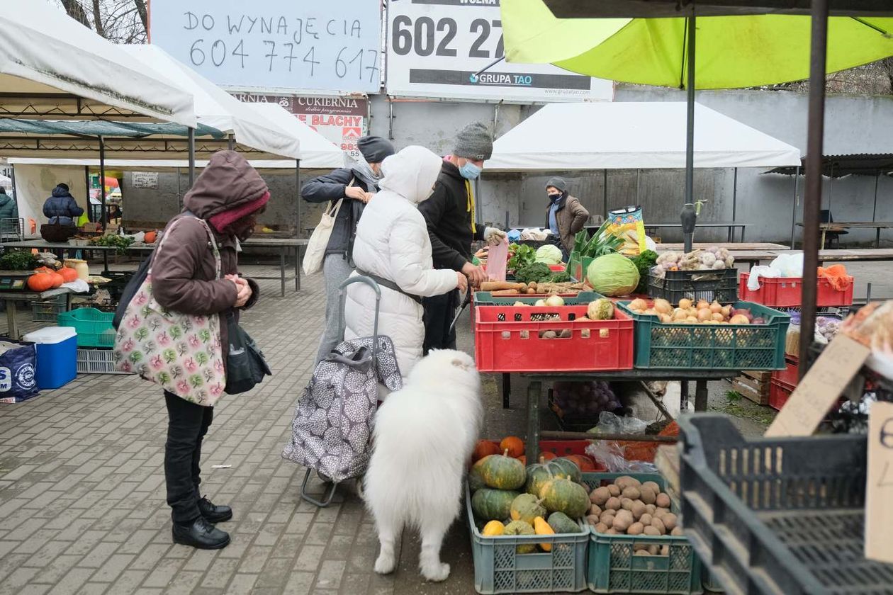  Sobotnie zakupy w galeriach Vivo! i Felicity oraz na targu przy ul. Ruskiej (zdjęcie 1) - Autor: Maciej Kaczanowski