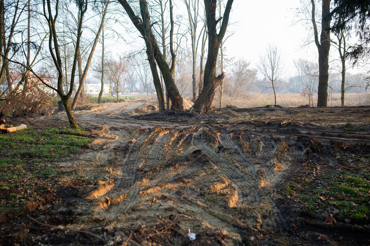  Park Radziwiłłowski w Białej Podlaskiej. Kontynuacja prac rewitalizacyjnych  (zdjęcie 6) - Autor: Bartosz Wołoszko