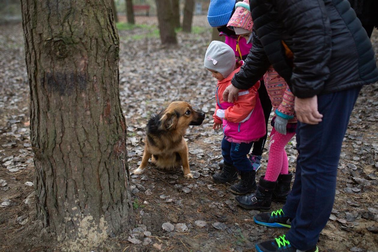  Otwarcie wybiegu dla psów przy schronisku Azyl w Białej Podlaskiej (zdjęcie 3) - Autor: Bartosz Wołoszko