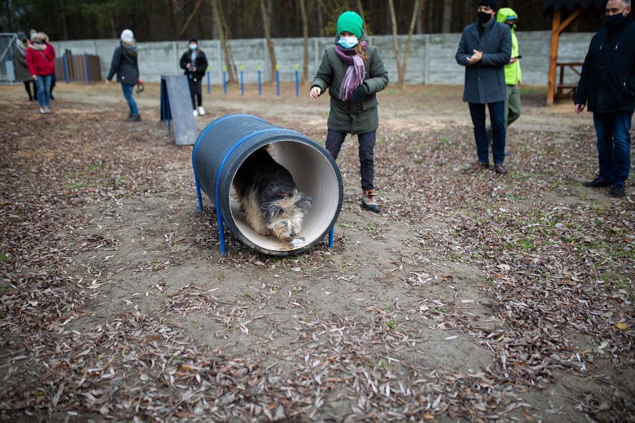  Otwarcie wybiegu dla psów przy schronisku Azyl w Białej Podlaskiej (zdjęcie 8) - Autor: Bartosz Wołoszko