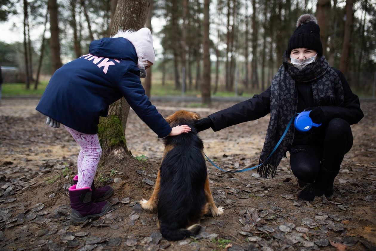  Otwarcie wybiegu dla psów przy schronisku Azyl w Białej Podlaskiej (zdjęcie 2) - Autor: Bartosz Wołoszko