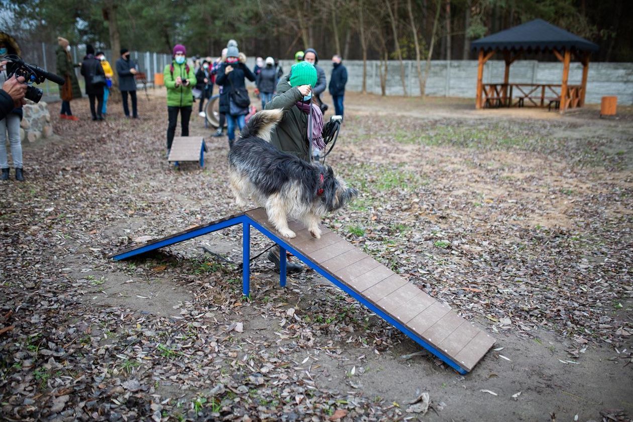  Otwarcie wybiegu dla psów przy schronisku Azyl w Białej Podlaskiej (zdjęcie 7) - Autor: Bartosz Wołoszko
