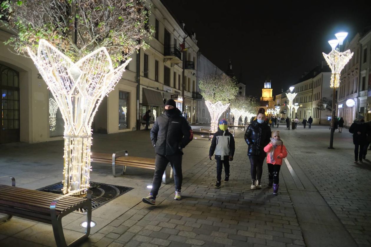  Świąteczna iluminacja miasta w komplecie: choinka już cieszy przechodniów (zdjęcie 1) - Autor: Maciej Kaczanowski