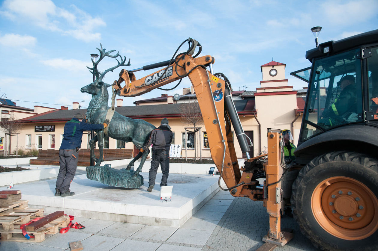  Montaż pomnika jelenia w Parczewie  (zdjęcie 1) - Autor: UM Parczew