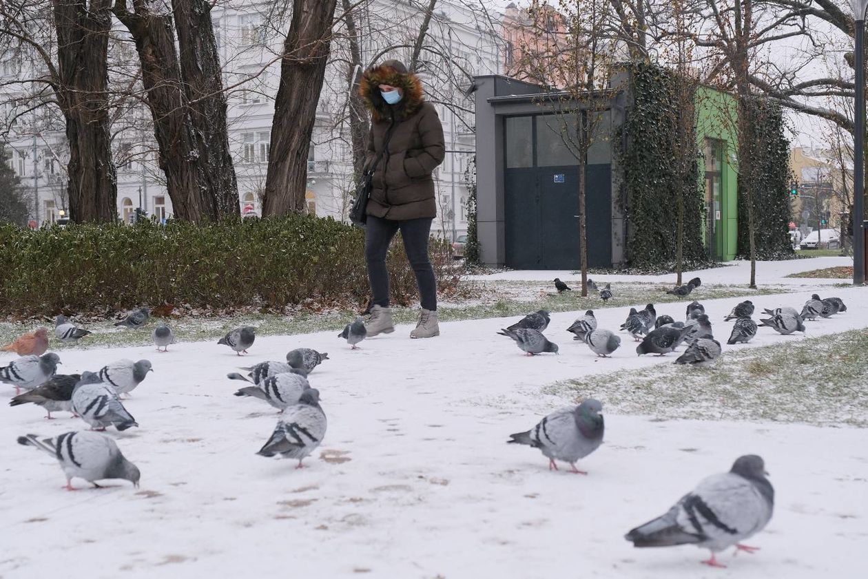  Lublin pod śniegiem (zdjęcie 1) - Autor: Maciej Kaczanowski