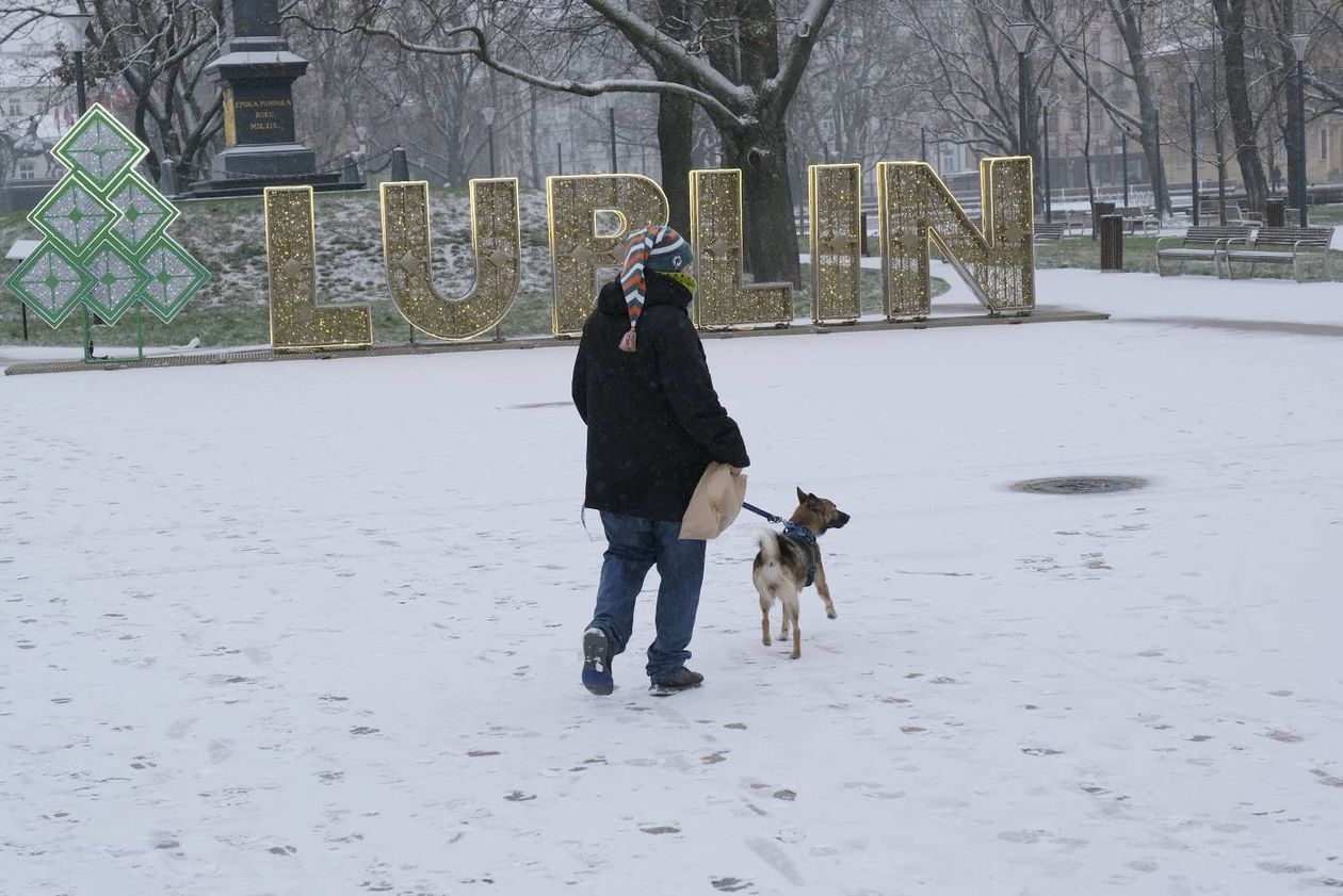  Lublin pod śniegiem (zdjęcie 1) - Autor: Maciej Kaczanowski