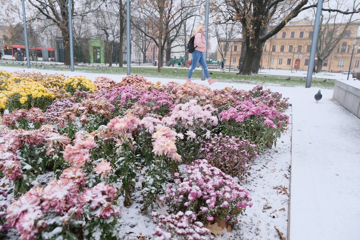  Lublin pod śniegiem (zdjęcie 1) - Autor: Maciej Kaczanowski