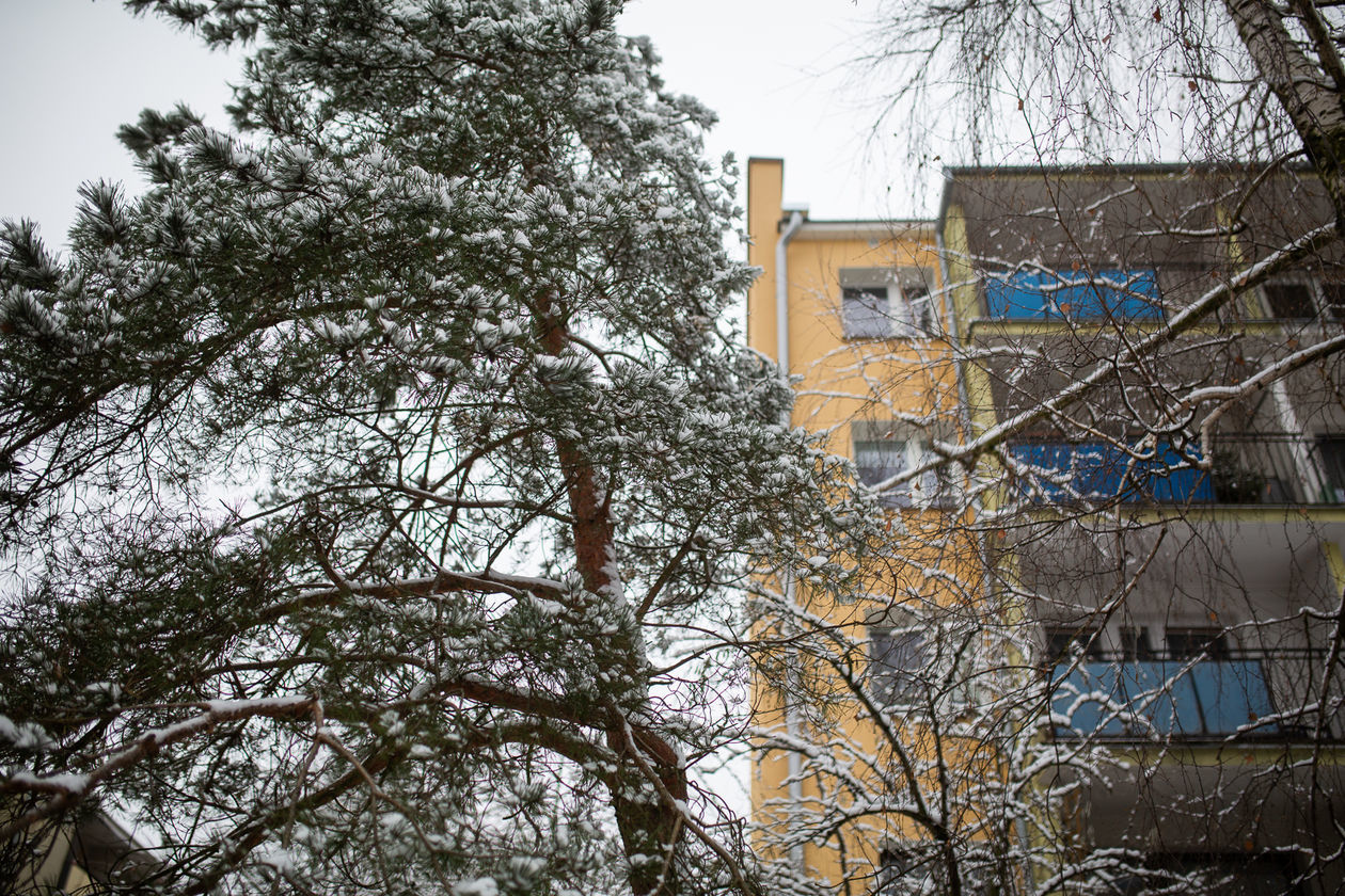  Śnieg w Białej Podlaskiej i okolicach (zdjęcie 1) - Autor: Bartosz Wołoszko