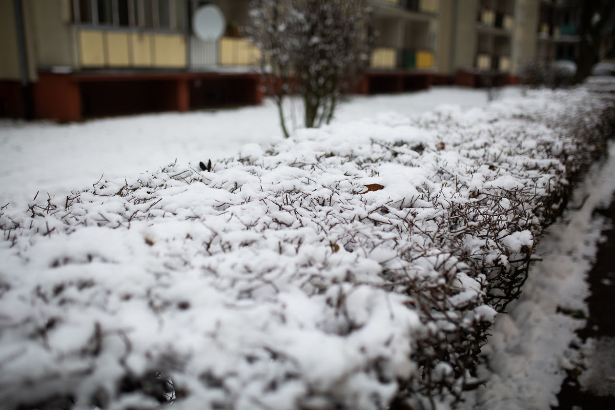 Śnieg w Białej Podlaskiej i okolicach