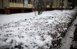 Śnieg w Białej Podlaskiej i okolicach (zdjęcie 2)