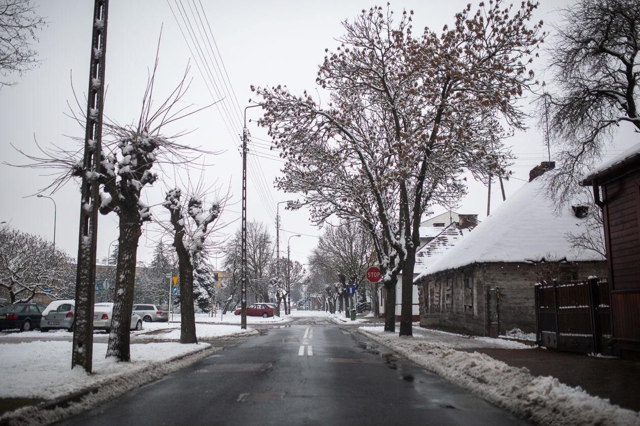  Śnieg w Białej Podlaskiej i okolicach (zdjęcie 1) - Autor: Bartosz Wołoszko