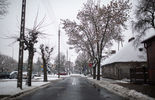 Śnieg w Białej Podlaskiej i okolicach (zdjęcie 5)
