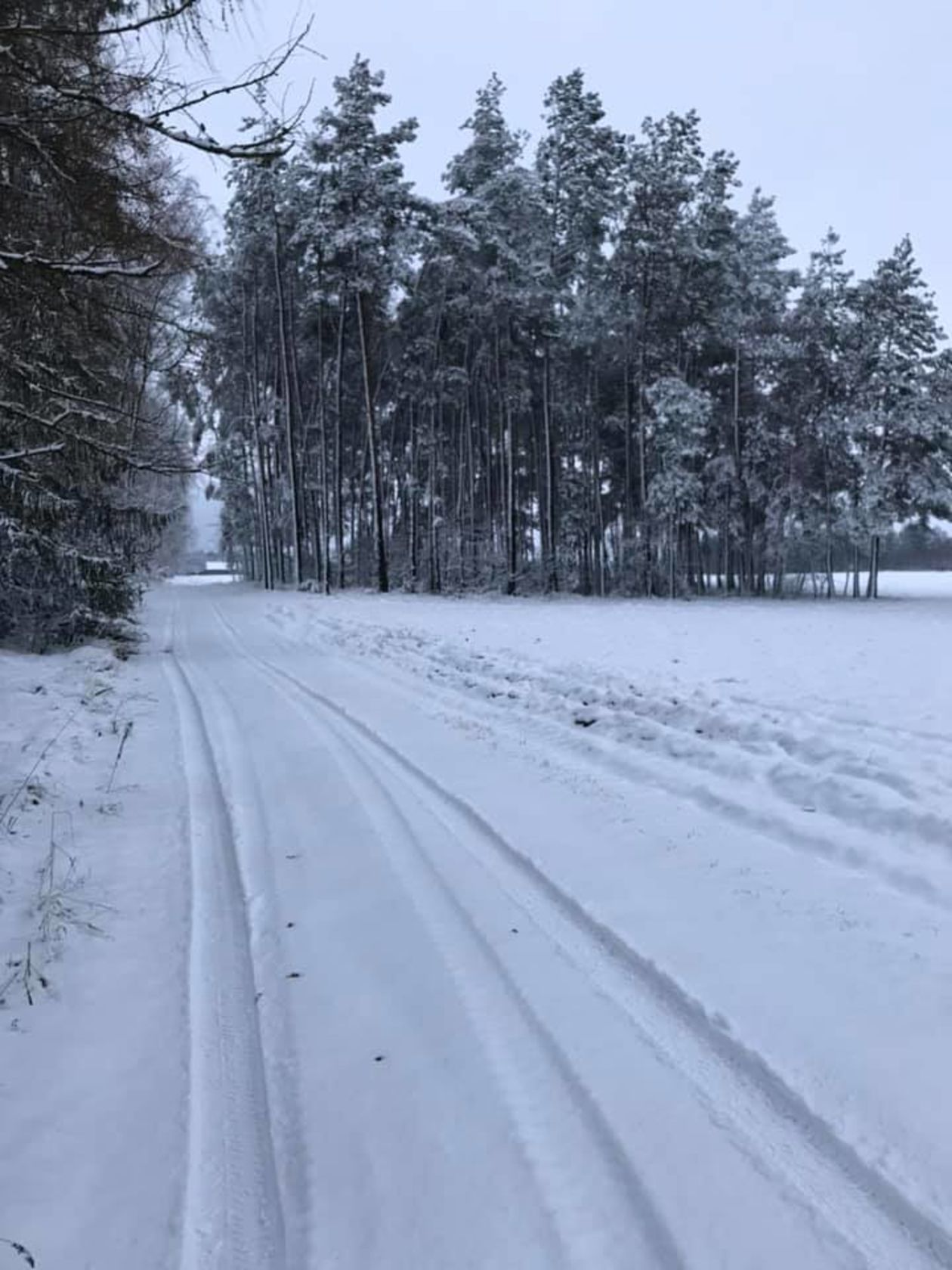 Śnieg w Białej Podlaskiej i okolicach