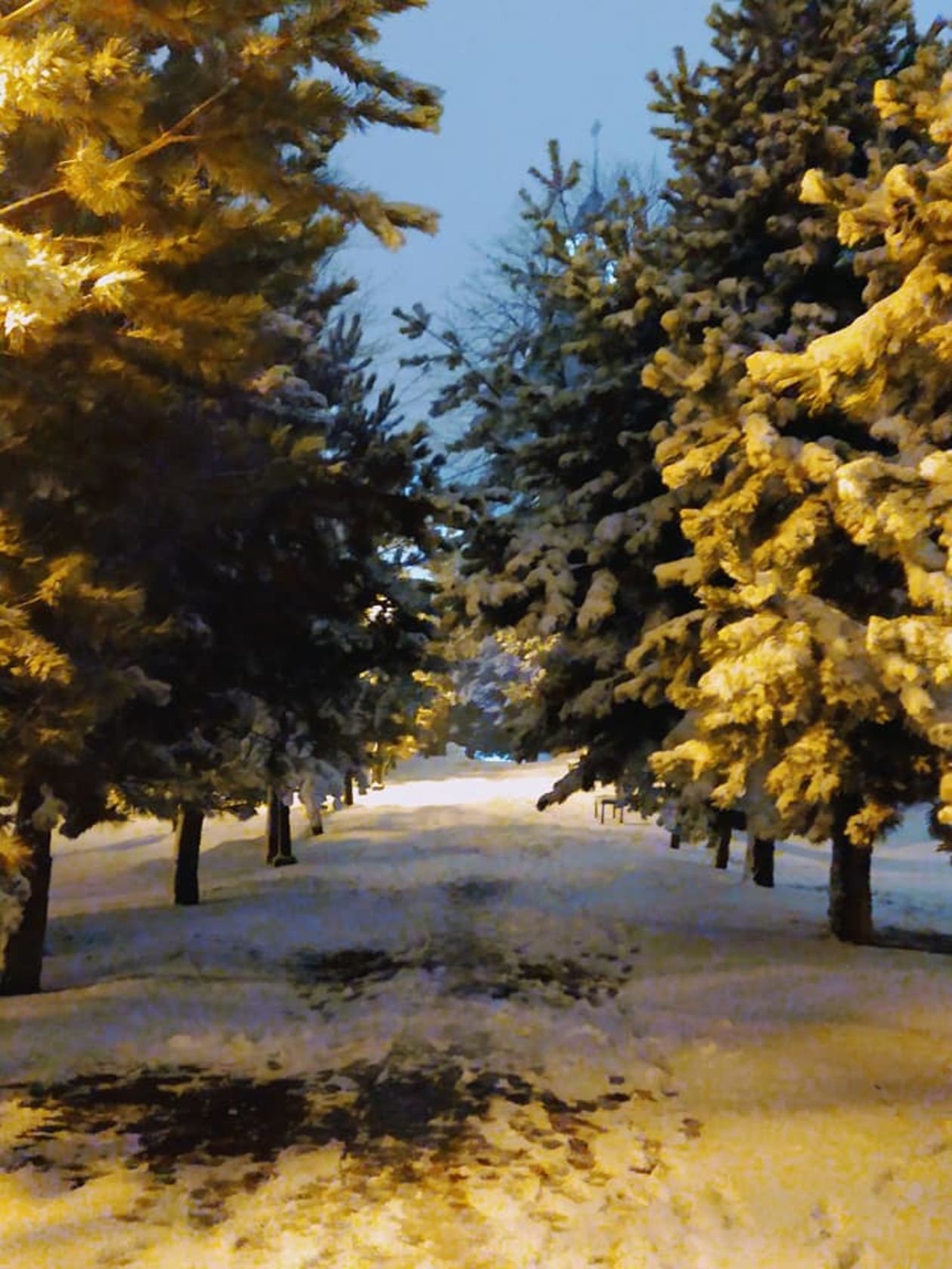  Zima w Chełmie (zdjęcie 1) - Autor: Tadeusz Gryc