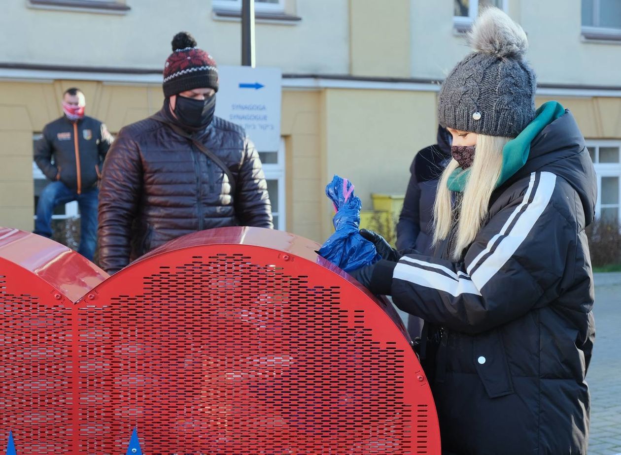  Akcja charytatywna z udziałem aktorki Katarzyny Bujakiewicz  (zdjęcie 1) - Autor: Maciej Kaczanowski