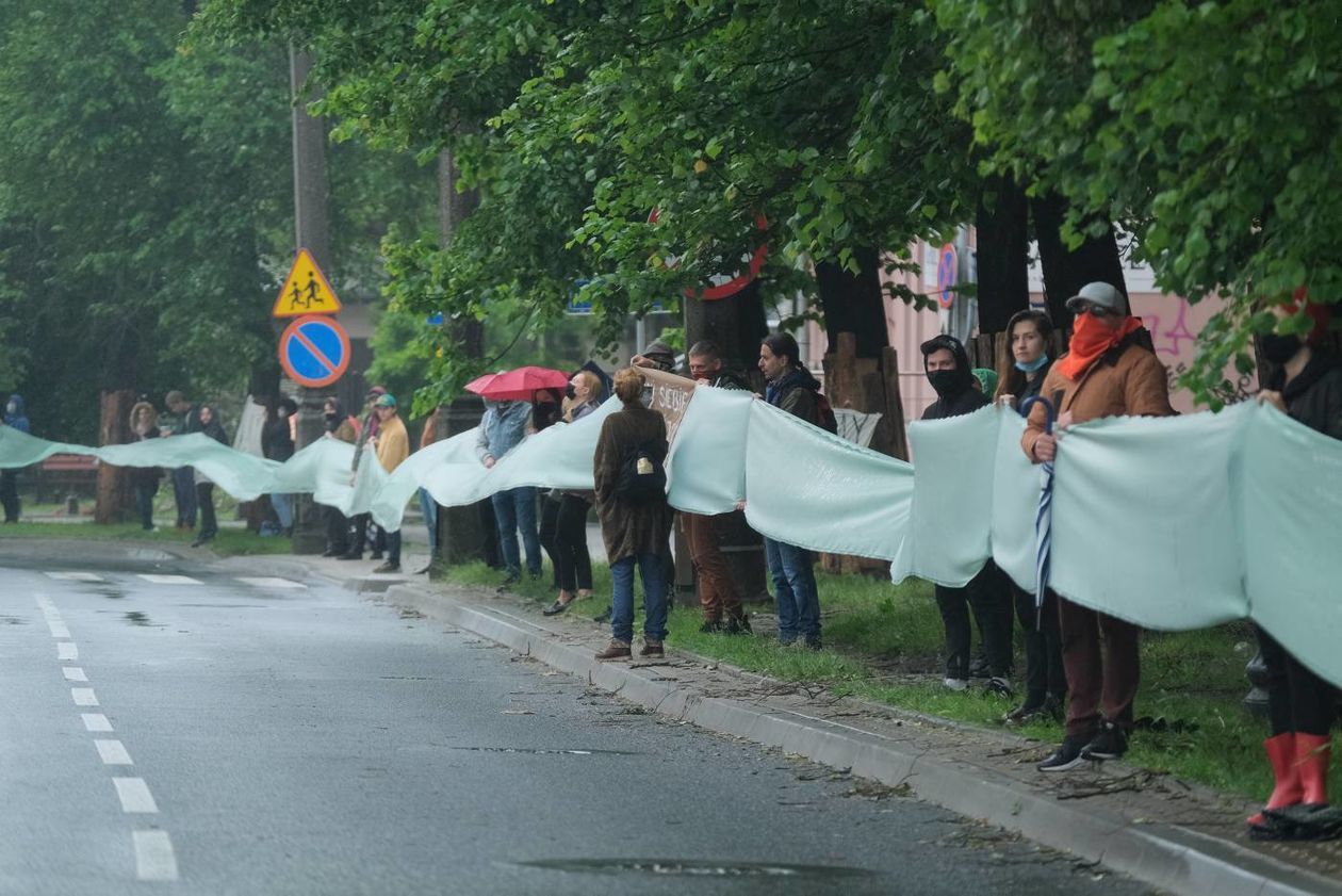  <p>31.05.2020 Lublin ul. Lipowa. Protest w obronie drzew rosnących wzdłuż ulicy. Jego uczestnicy stanęli przy jezdni, trzymając zieloną wstęgę.</p>