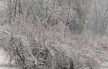 Zima w Chełmie (zdjęcie 2)