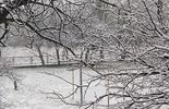 Zima w Chełmie (zdjęcie 4)
