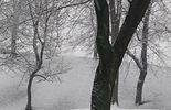 Zima w Chełmie (zdjęcie 5)