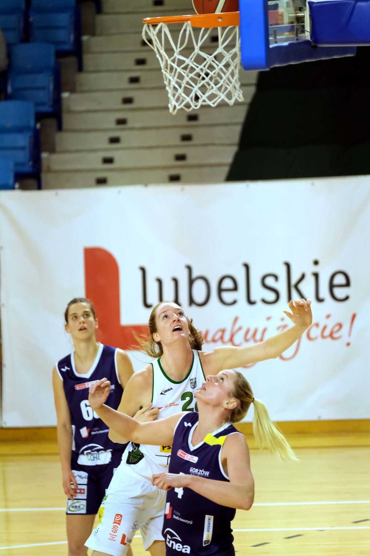  Pszczółka Polski Cukier AZS UMCS Lublin vs Enea Gorzów Wielkopolski (zdjęcie 1) - Autor: Maciej Kaczanowski