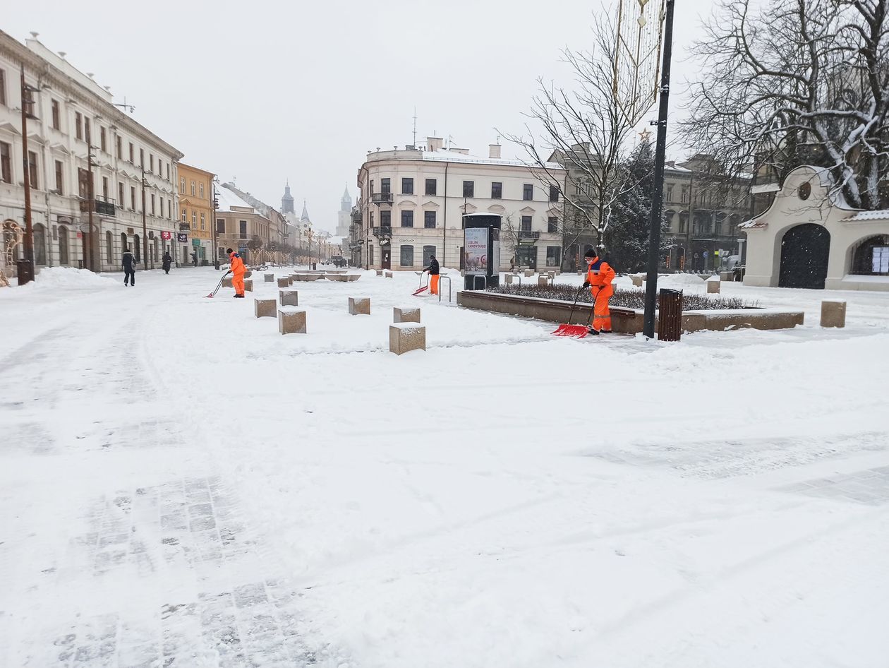  Zima w Lublinie. Styczeń 2021 (zdjęcie 1) - Autor: Tomasz Maciuszczak