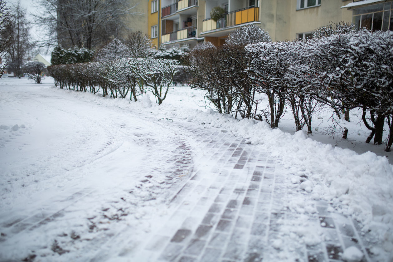  Zima w Białej Podlaskiej (zdjęcie 1) - Autor: Bartosz Wołoszko