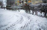 Zima w Białej Podlaskiej (zdjęcie 4)