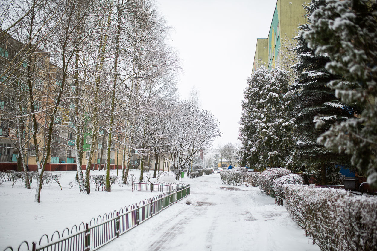  Zima w Białej Podlaskiej (zdjęcie 1) - Autor: Bartosz Wołoszko