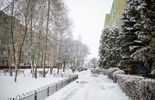 Zima w Białej Podlaskiej (zdjęcie 5)