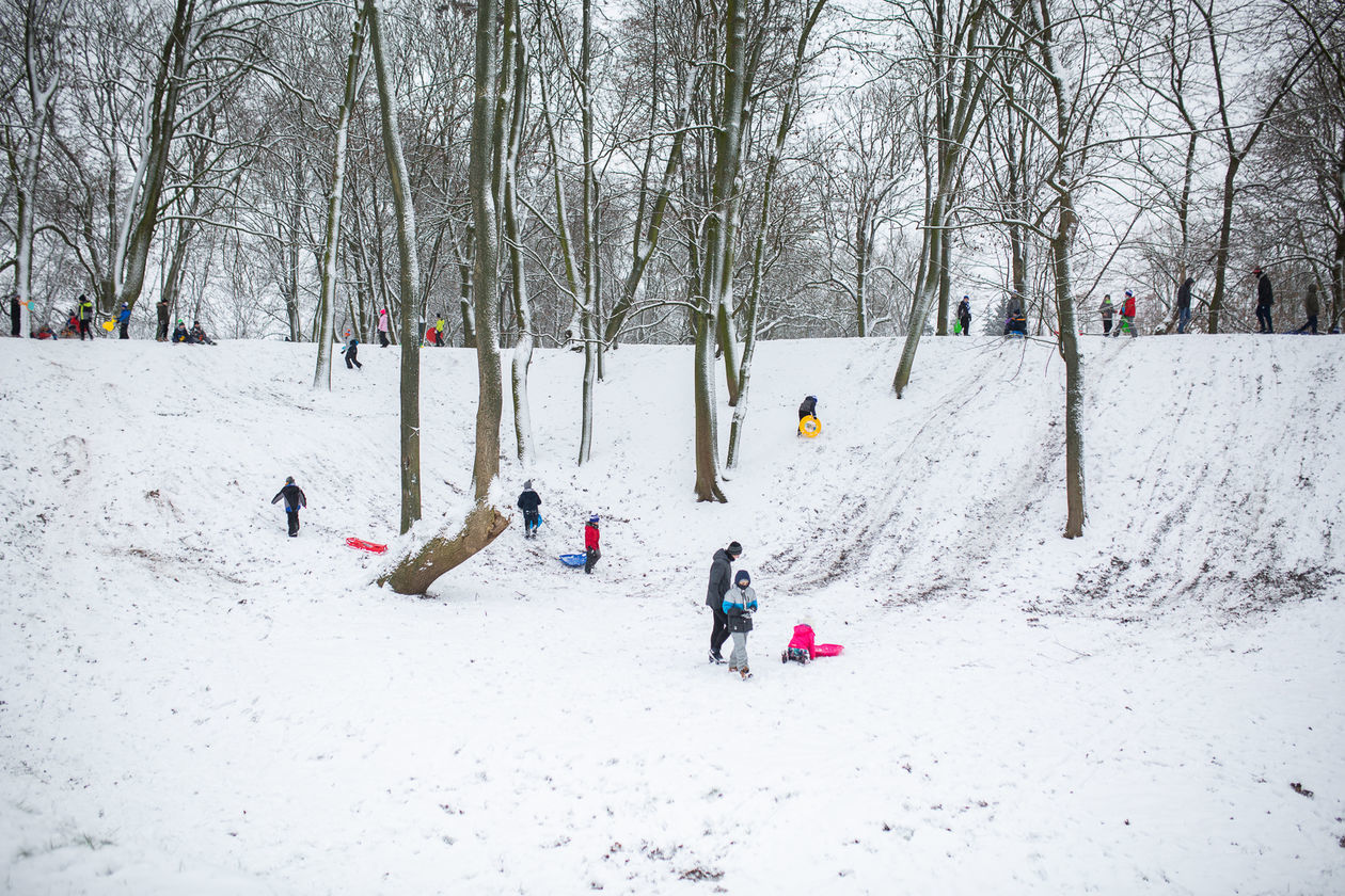 Zima w Białej Podlaskiej - Autor: Bartosz Wołoszko