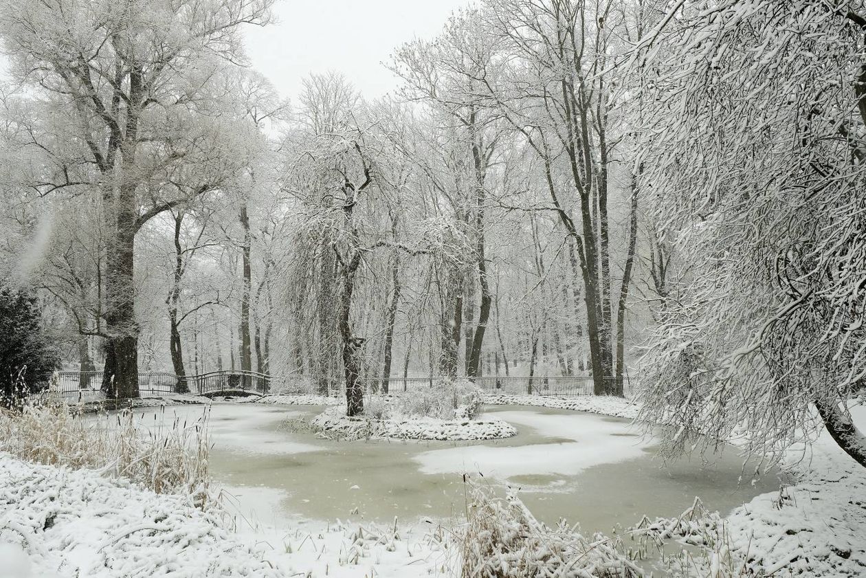 Intensywne opady śniegu w Lublinie - Autor: Maciej Kaczanowski