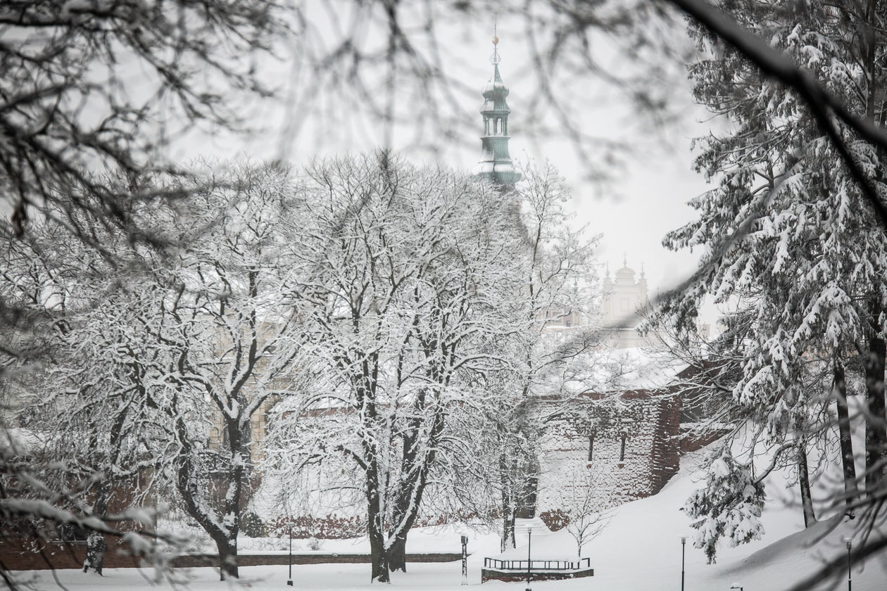  Zamość pod śniegiem (zdjęcie 1) - Autor: Kazimierz Chmiel