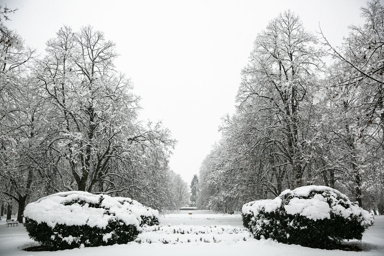  Zamość pod śniegiem (zdjęcie 1) - Autor: Kazimierz Chmiel