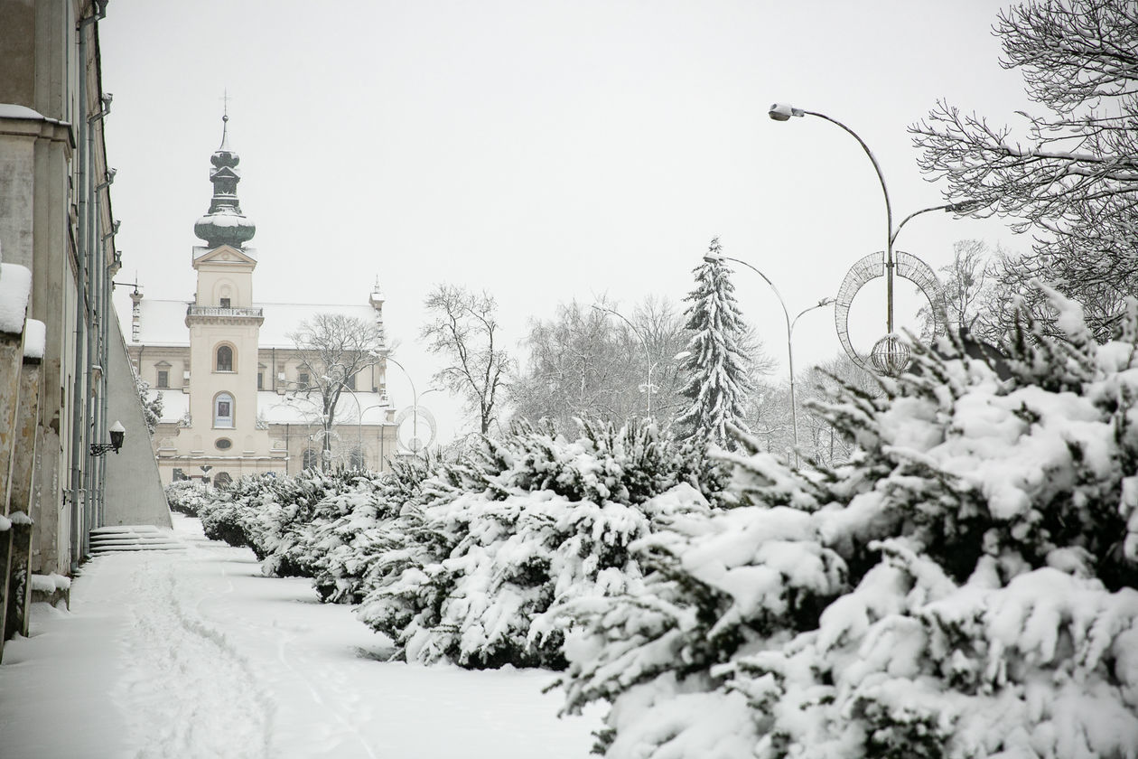  Zamość pod śniegiem (zdjęcie 1) - Autor: Kazimierz Chmiel