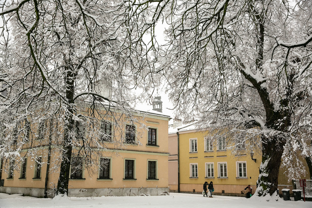  Zamość pod śniegiem (zdjęcie 1) - Autor: Kazimierz Chmiel