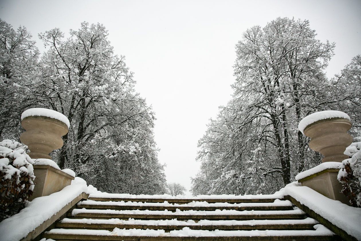  Zamość pod śniegiem (zdjęcie 1) - Autor: Kazimierz Chmiel