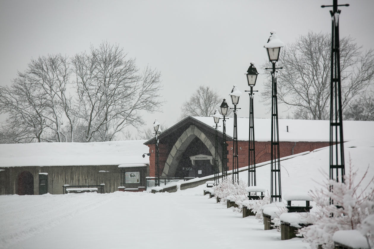  Zamość pod śniegiem (zdjęcie 1) - Autor: Kazimierz Chmiel