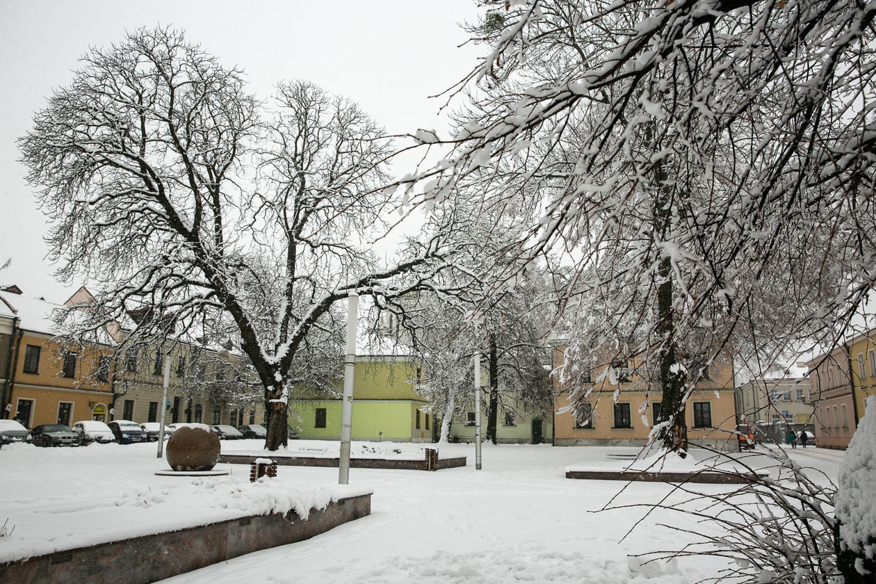  Zamość pod śniegiem (zdjęcie 1) - Autor: Kazimierz Chmiel