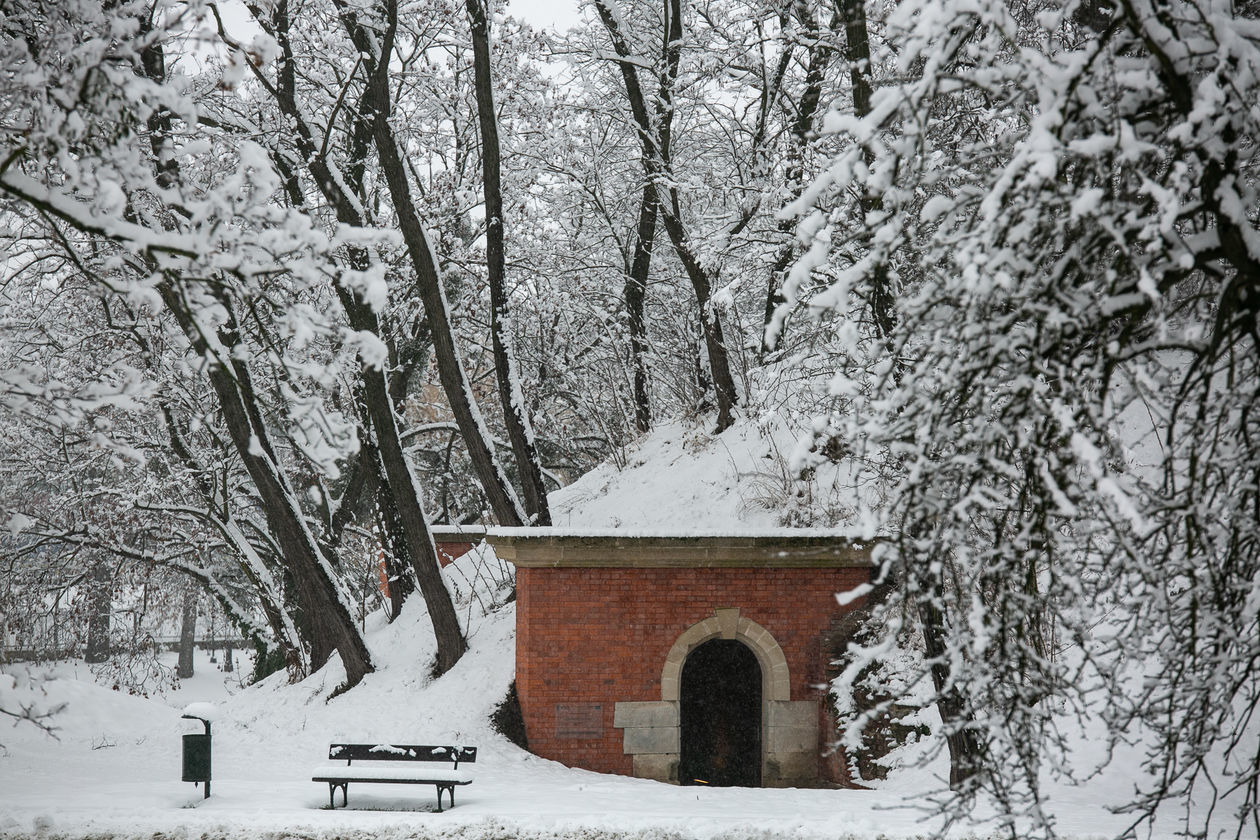  Zamość pod śniegiem (zdjęcie 1) - Autor: Kazimierz Chmiel