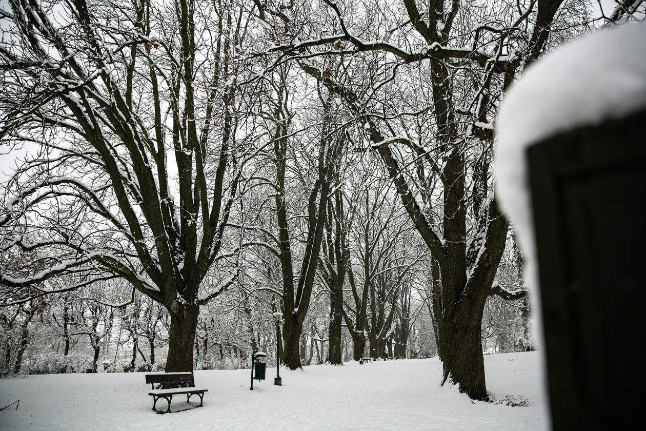  Zamość pod śniegiem (zdjęcie 1) - Autor: Kazimierz Chmiel