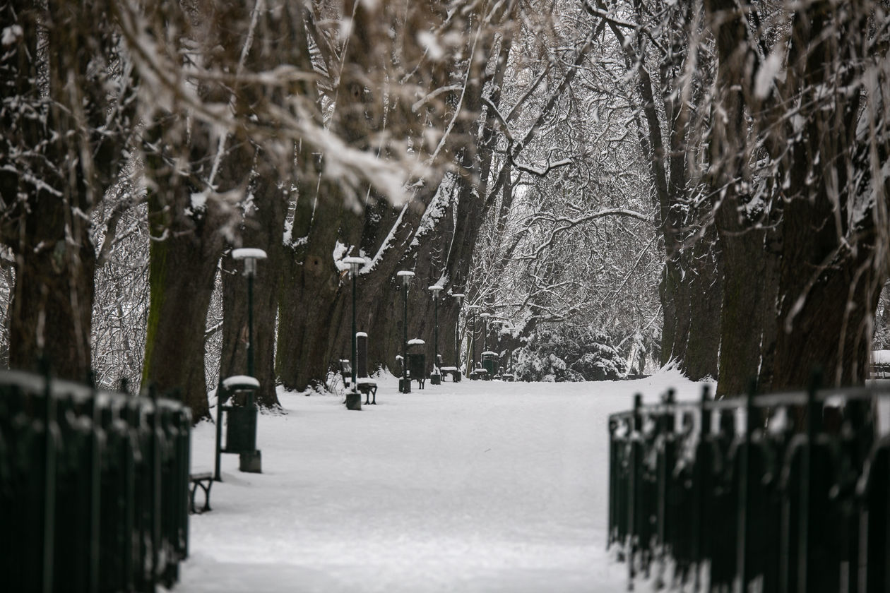  Zamość pod śniegiem (zdjęcie 1) - Autor: Kazimierz Chmiel