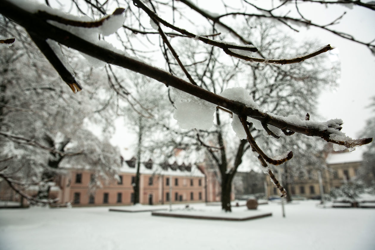  Zamość pod śniegiem (zdjęcie 1) - Autor: Kazimierz Chmiel